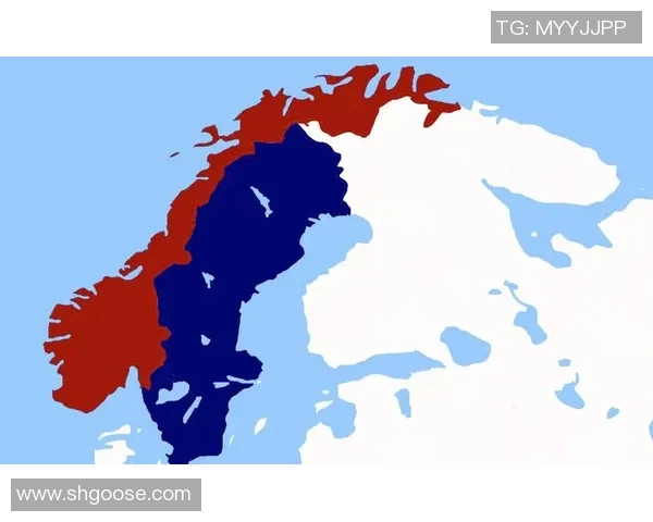 挪威vs瑞典欢呼吧