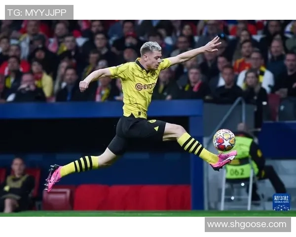 马竞vs多特蒙德锦集